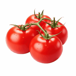 Tomato